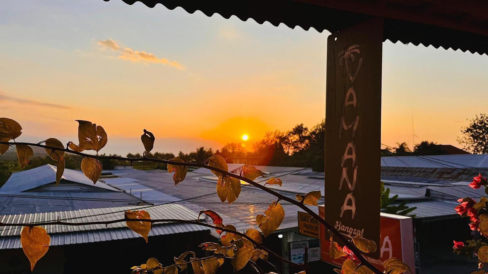 Vamana Bangsal Hostel Pemenang Exterior foto